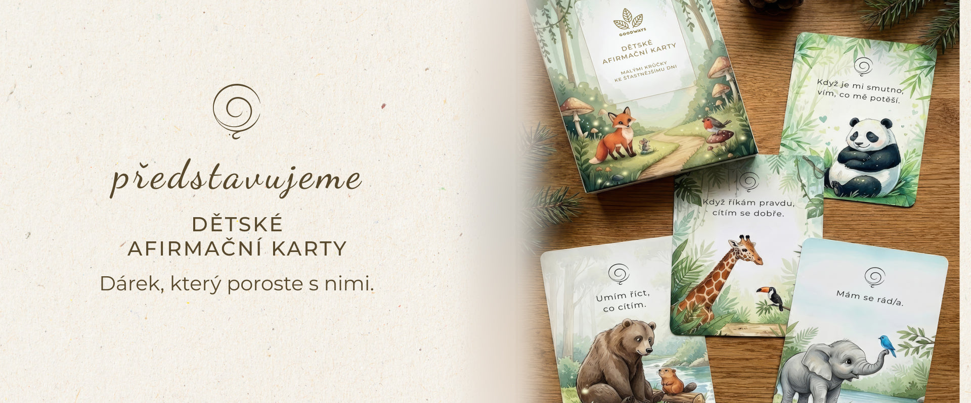 Slider banner CZ Desktop